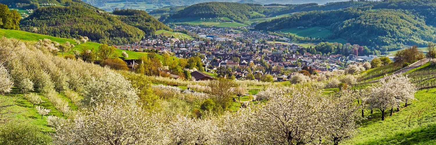 Kultur / Freizeit